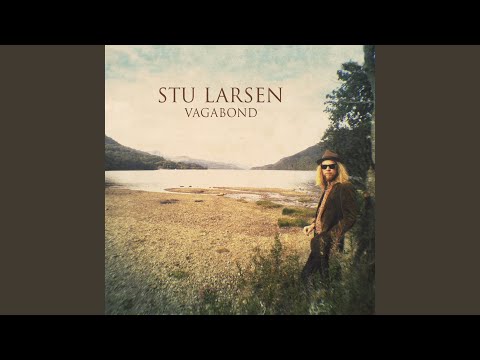 Pocket Full Of Coins - Stu Larsen