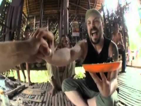 Madventures III Madcook - Lepakko