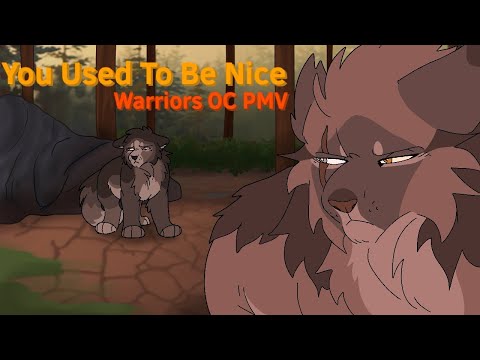 You Used To Be Nice // Warriors OC PMV