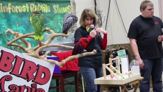 Bird Mania Parrot Demonstration at Allentown Pet Expo 2017