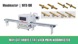 Máy cắt ngang vạch phấn bỏ khuyết tật gỗ | WFS-120