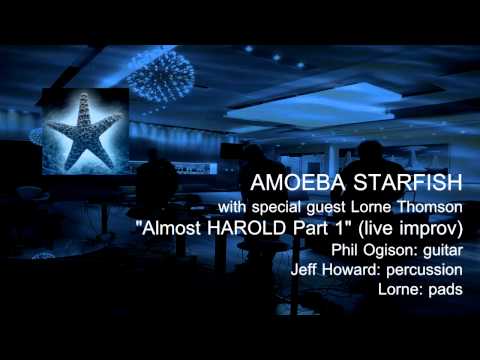Amoeba Starfish Almost HAROLD Part 01 (with Lorne Thomson)