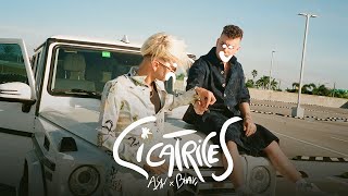 Cicatrices Lyrics English Translation