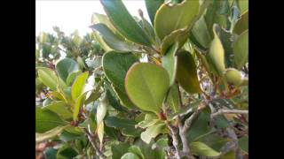 knxwlege time n tide