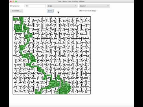 Algorithm Java Solves Braid Maze Slow