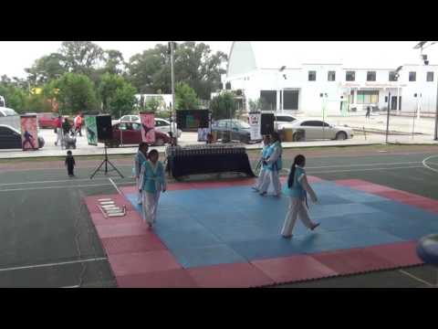 Guerreras de la Luna