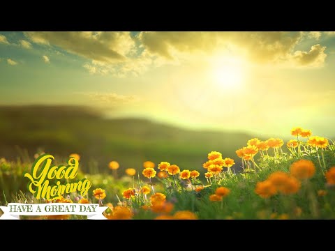 <h1 class=title>Beautiful Morning Relaxing Music - Positive Feelings and Energy➤Morning Meditation Music For Wake Up</h1>