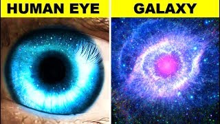 What Happens When You Die?