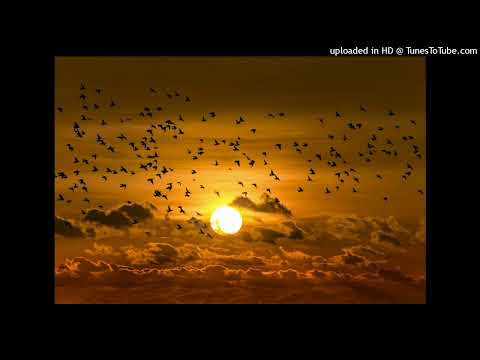 Pitch Razahs - Against The Gravity