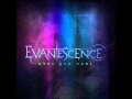 Evanescence - What You Want (HQ)