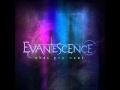 Evanescence - What You Want (HQ) 