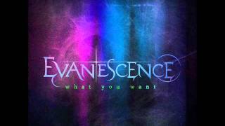 Evanescence - What You Want (HQ)