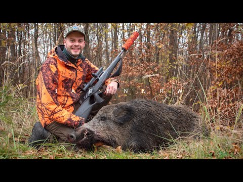 3 Drückjagden - 5 Sauen – jagenNRW story #25