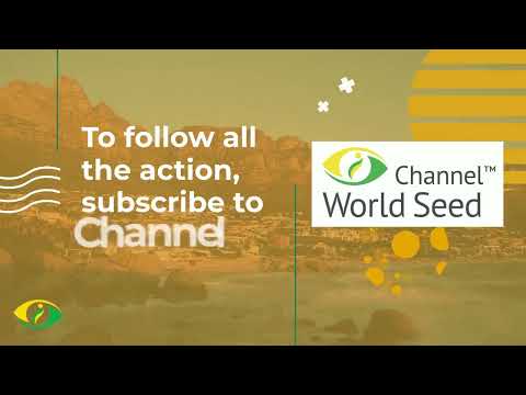 WSC2023 Channel World Seed is back!
