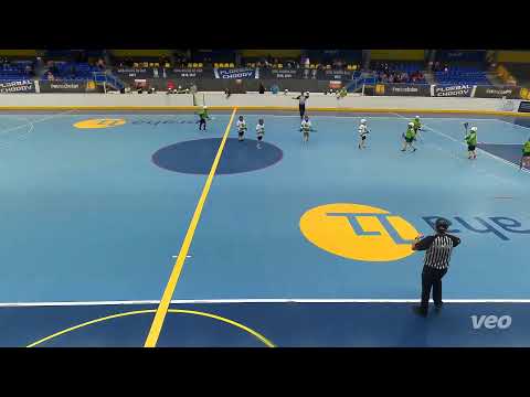 JBLL 2025/2026 vs 5.kolo U10 Zbraslav/SIS vs.  Old dogs Plzeň/Malešice