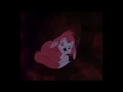 Banjo The Woodpile Cat But Only When Banjo In Screen