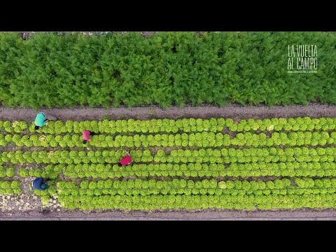 La vuelta al campo. Camino a la soberanía alimentaria