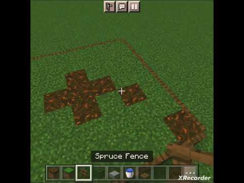 Crazy_plays - how to make a spruce mini biome in Minecraft #short #Minecraft