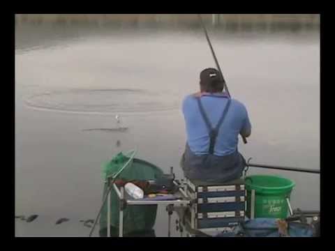 Will Raison - ловля карася штекером (техника)