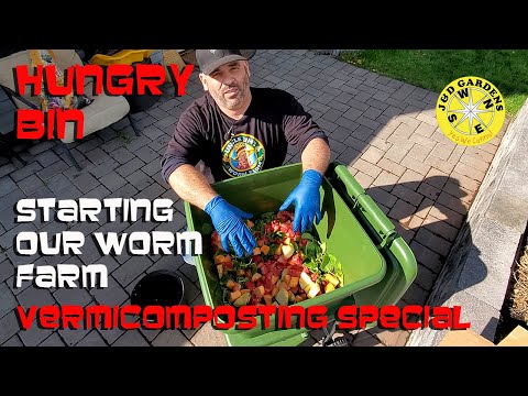 How To Start Vermicomposting - Using Hungry Bin & Uncle Jim's Worm Farm