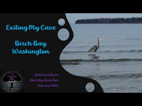 #1 '23 - Exiting My Cave  - Birch Bay Washington