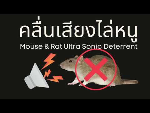 mouse & rat ultrasonic deterrent, repellent sound, rat repellent sound 1 hour