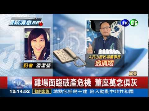 陸禽首例!大武山雞隻染H5N8