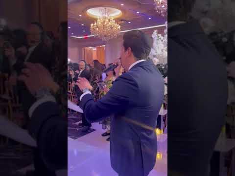Avi Perets Live wedding 2023 #music #musicvideo #wedding #brideandgroom