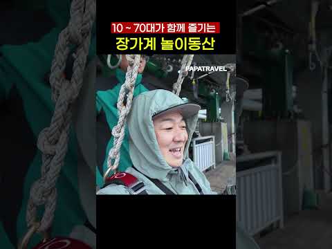 짐라인과 협곡 슬라이드에서 아찔함과 재미를 동시에!