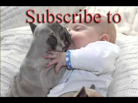 [Live HD 720p] 130808 EXO - Growl @ M! Countdown Summer Special