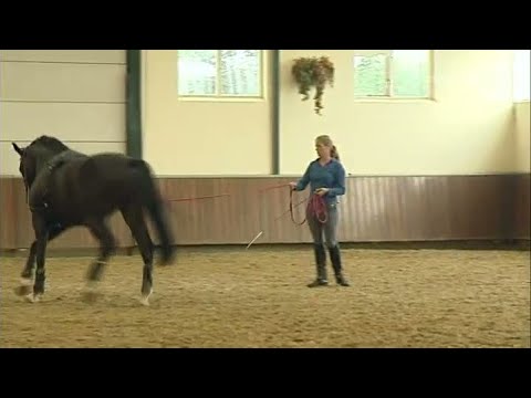 GLD Nieuws 27 maart 2014