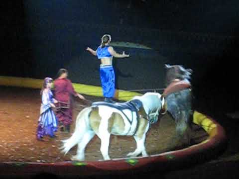 Arabian Nights Dinner Show in Orlando, Florida