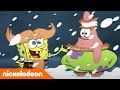 SpongeBob | Aflevering in vijf minuten: Overleving van de idioten | Nickelodeon Nederlands