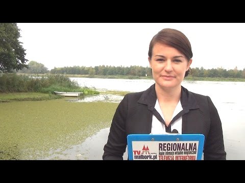 INFO TYGODNIK. MALBORK - SZTUM - NOWY DWÓR GDAŃSKI – 12.09.2014