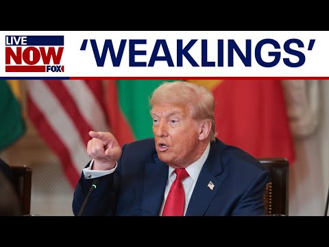 'Jeffrey Epstein Hoax': Trump blasts supporters questioning case | LiveNOW from FOX