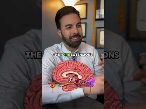 What Causes Diplopia? #doublevision #blurredvision #blur #fibromyalgia #shorts