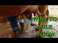 The Milk Cow, Part 3 - The FHC Show, ep 36