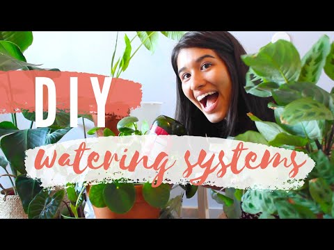 5 Ways to Water Your House Plants While You're Away | DIY SELF WATERING SYSTEMS PART 1