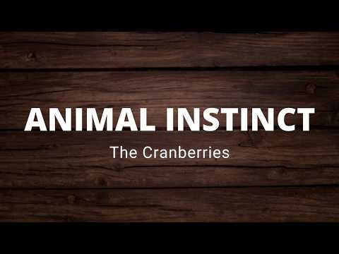 THE CRANBERRIES   ANIMAL INSTINCT LYRICS