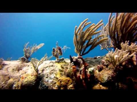 RMS Rhone, RMS Rhone Nationalpark,Salt Island,Britische Jungferninseln