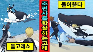 [미국실화]조련사 3명을 학살한 범고래 알렉스이야기[만화][영상툰]