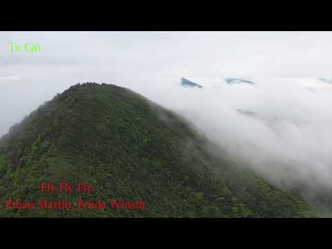 Fly Fly Fly ,Ethan Martin , Friida Winsth