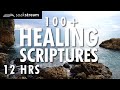 Bible Verses For Sleep | 100+ Healing Scriptures With Soaking Music | 12 Hours (2020)