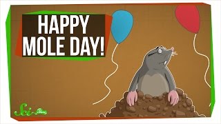Happy Mole Day!