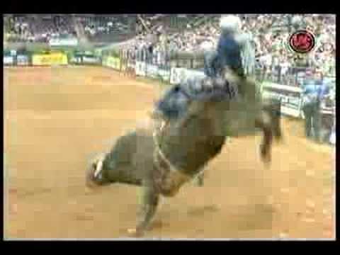 Travis Briscoe VS Catywompus