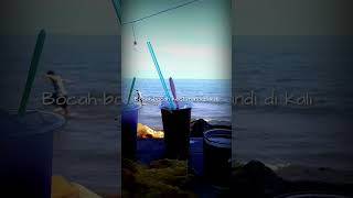 Download lagu Slank - Bocah #slank #slankindonesia #music #statuswalagu #statuswa #musicvideo #musik #laguslank mp3