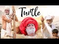 Turtle (2018) - Superhit Hindi Movie | Sanjay Mishra, Amol Deshmukh, Yash Rajasthani, Zoya
