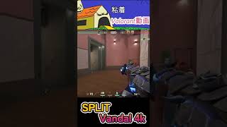 [Valorant] 1 vs 5 Vandal 4k !!