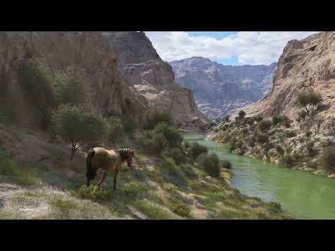 A Horse With No Name - La La Loop