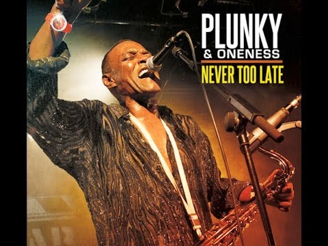 Plunky & Oneness NEVER TOO LATE Album Clips